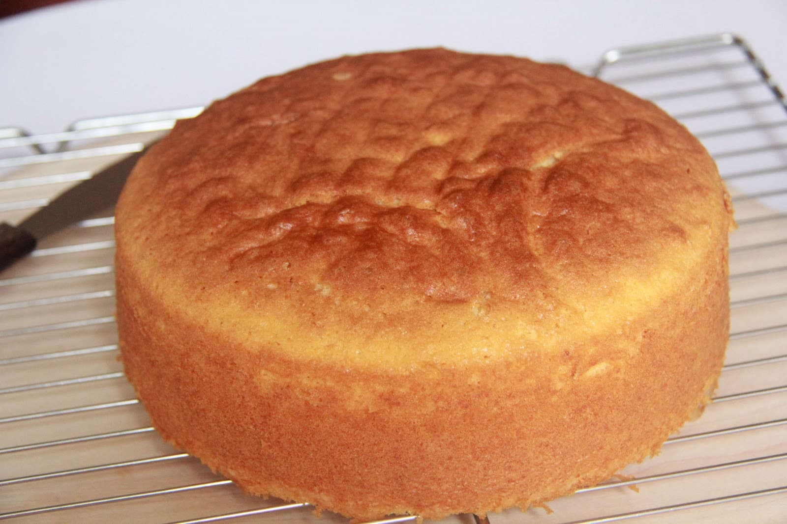 Cover Image for Génoise facile et très aérienne